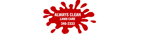 always clean revised logo